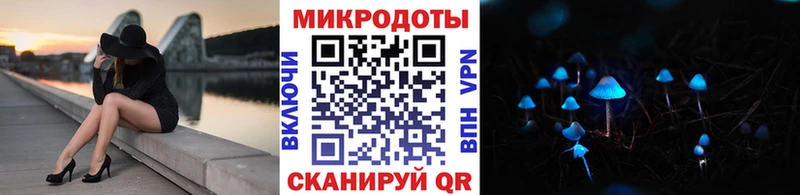дарнет шоп  Королёв  Псилоцибиновые грибы MAGIC MUSHROOMS 